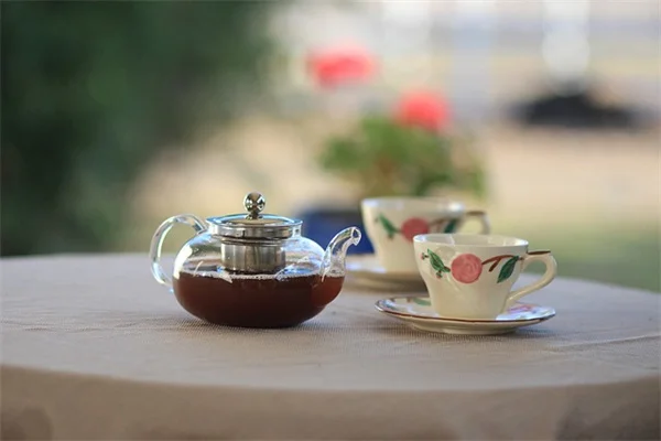 触接触症で苗が激変！30秒撫でるだけで茎が太くなる驚きの方法