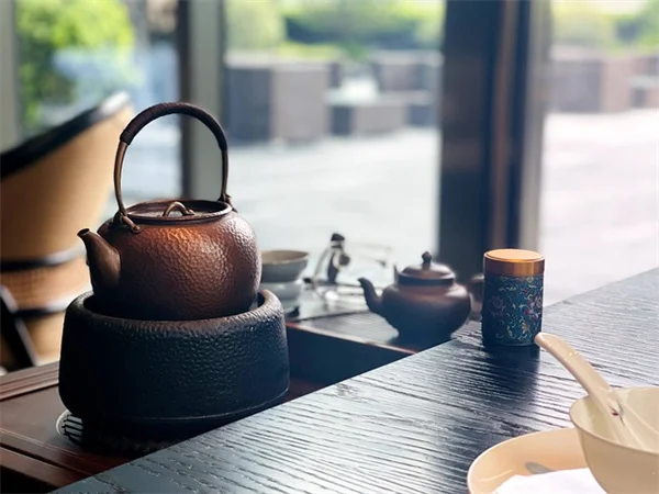 知ってる？ハエが花粉を運ぶって本当